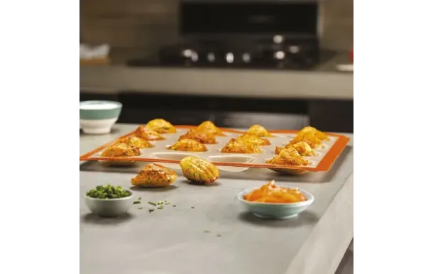 SILPAT MOULE 9 MINI  ES--02511-FR